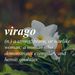Profile Picture of Cristina chiotti (@krichiotti) on Pinterest