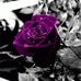 Profile Picture of Dawn Broeker (@dawn.broeker.1) on Facebook