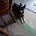 Profile Picture of Alice Mowery (@shayleegrandma) on Pinterest