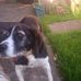 Profile Picture of Gerry Carroll (@gerry.carroll.148) on Facebook