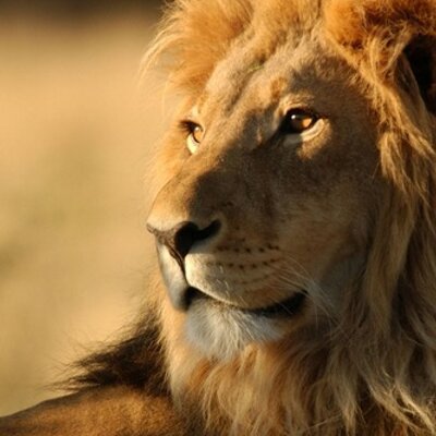 Profile Picture of Jonathan Conrado (@jn86x) on Twitter