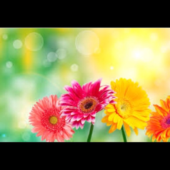 Profile Picture of Cindy Rodriguez (@sinrod03) on Poshmark