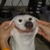 Profile Picture of Cameron Schulz (@cameronschulz5885) on Youtube