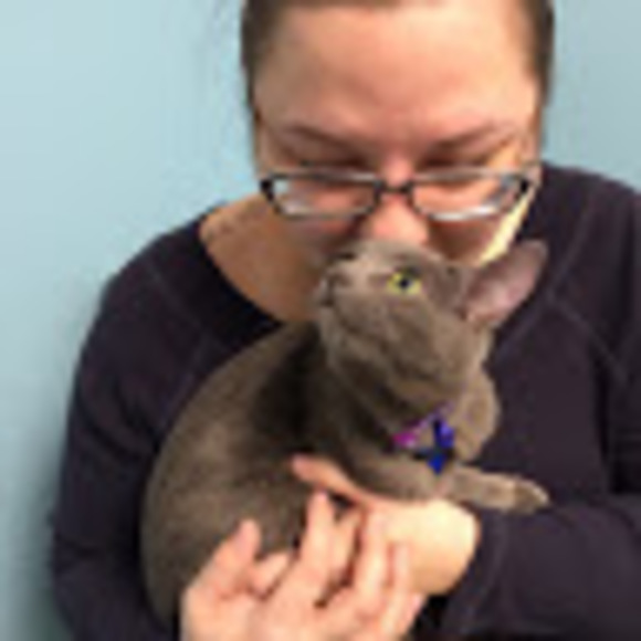 Profile Picture of Jeanette Hotes-aprato (@jhotesaprato) on Poshmark