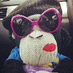 Profile Picture of Pranesh Singh (@nesh_dawg) on Instagram