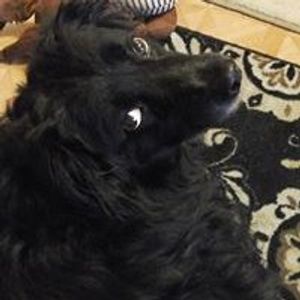 Profile Picture of Elizabeth Foote (@elizabeth.foote1) on Myspace