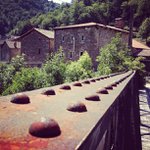 Profile Picture of Kevin Palumbo (@lordlocalchikk) on Instagram