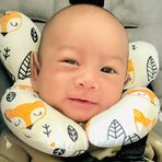 Profile Picture of Shiloh AnsonLichaa (@Shiloh-Anson-Lichaa) on Facebook
