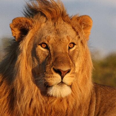 Profile Picture of Gavin Andrews (@Galv_3000) on Twitter