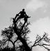 Profile Picture of Jeffery Grissom (@Jeffery-Grissom) on Facebook
