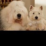 Profile Picture of danielpakkala8 (@danielpakkala8) on Instagram