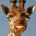 Profile Picture of Joe McArdle (@mcardle1984) on Instagram