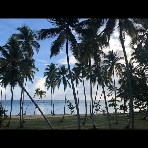 Marianela Giraldez - Poshmark Profile Picture of Marianela Giraldez (@nelagiraldez) on Poshmark