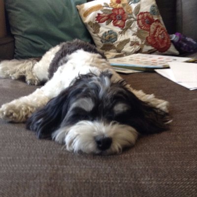 Profile Picture of Emma Rose Roark (@RubySoleSight) on Twitter