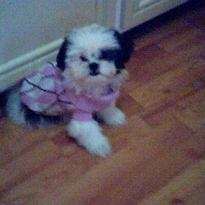 Profile Picture of Sierra Noel Tate (@_LifeLoveSoul) on Twitter