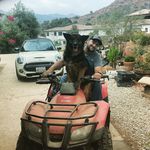 Profile Picture of Alex Zadeh (@azranchalex) on Instagram