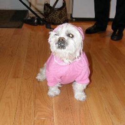 Profile Picture of Colette Page-Turner (@c_ccturner) on Twitter