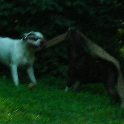 Profile Picture of Keith R Castner (@CastnerKeith) on Twitter