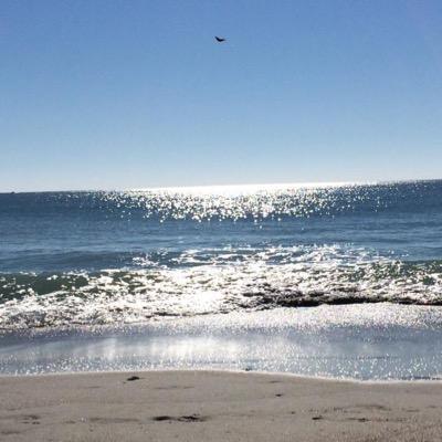 Profile Picture of Terry Mauck-Beck (@MauckBeck) on Twitter