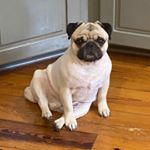 Profile Picture of Scott Durling (@sbdurling) on Instagram