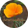 Profile Picture of Linzi Scott (@so.cal.poppy.fields) on Tiktok
