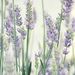 Profile Picture of Paula Brucker (@pabrucker) on Pinterest