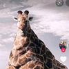 Profile Picture of ruby norman (@@ruby_.normanxo) on Tiktok