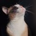 Profile Picture of Rebeca Almeida (@rebecaalmeida9) on Pinterest
