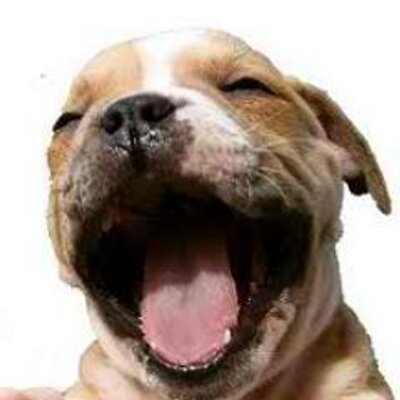 Profile Picture of Ruby Yu (@ruby102829) on Twitter