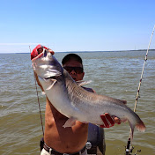 Profile Picture of Edward Brewer (@owlnut) on Youtube