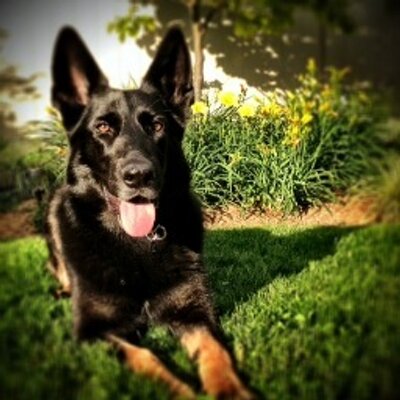 Profile Picture of Tom Rudd (@tomruddphoto) on Twitter