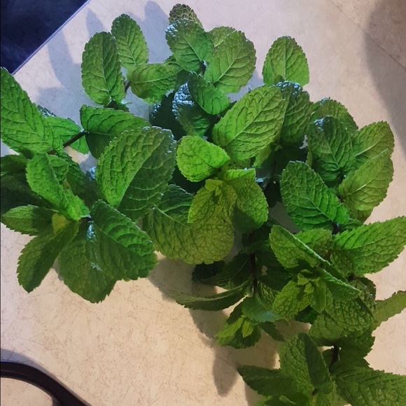 Adlah Musaitif - Poshmark Profile Picture of Adlah Musaitif (@amusaitif) on Poshmark