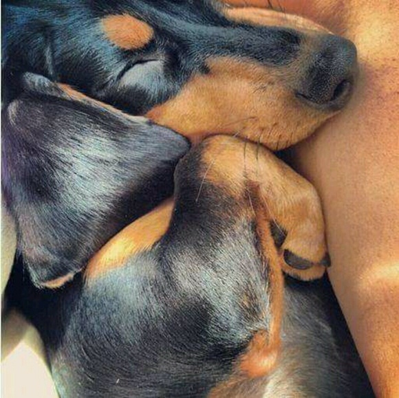 Profile Picture of Danielle Vaughn (@danivaughn) on Poshmark