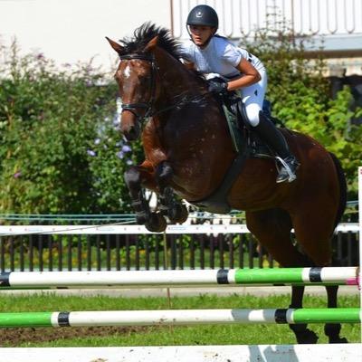 Profile Picture of Lisa Struckmeyer (@li_s_a_a) on Twitter