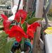 Profile Picture of James Freitas (@james.freitas.9828) on Facebook
