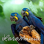 Profile Picture of Martin Soto Alonso (@LoroMania web de loros) on Flickr