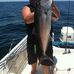 Profile Picture of Preston Daniels (@preston.daniels.18400) on Facebook