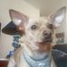Profile Picture of Pennie Morrow (@pennie.morrow.144) on Facebook