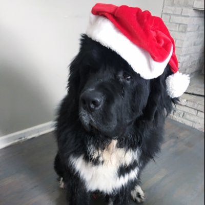 Profile Picture of Brett Morse (@BrettMo22810298) on Twitter