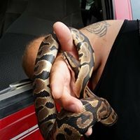 Profile Picture of Jason St Ours (@jason-st-ours) on Quora