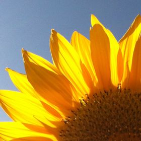 Profile Picture of nancy deconinck (@deconincknancy) on Pinterest