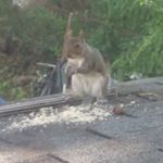 Profile Picture of Jimmy Finnegan (@jimfin90) on Instagram