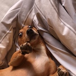 Profile Picture of Sonja Scollay (@sonja.scollay) on Flickr