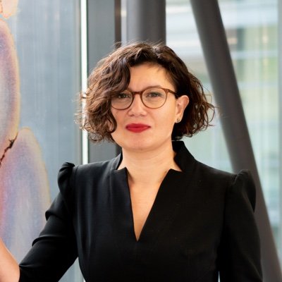 Profile Picture of Dr. R.N. Kooijmans (@BrainBends) on Twitter