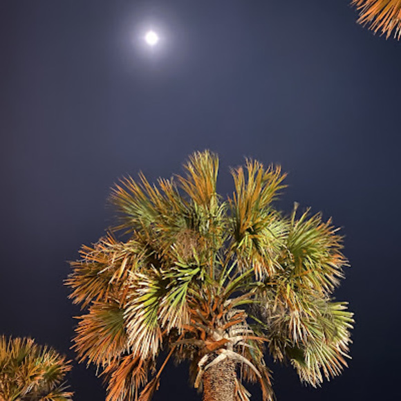 Profile Picture of Zac Angotti (@angottimustang) on Poshmark