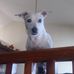 Profile Picture of Diane Wogan Burnside (@diane.woganburnside) on Facebook