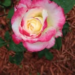 Profile Picture of Lonna Hartman (@lonna.hartman.9) on Facebook