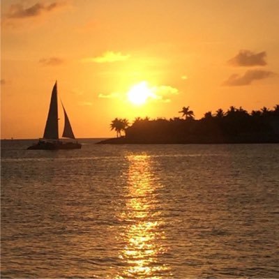 Profile Picture of Jeff Allard  🇨🇦 (@jef_allard) on Twitter