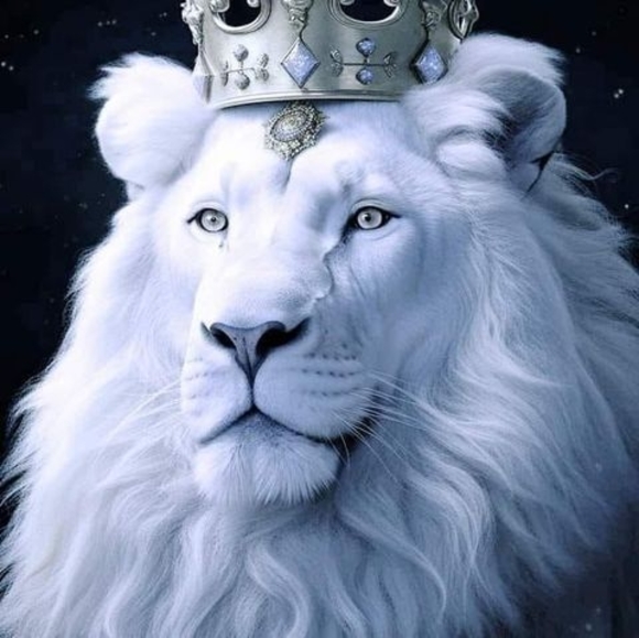 Profile Picture of Durrell Wilson (@lionking602) on Poshmark