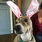 Profile Picture of Jason Waldron (@gayassvampire) on Instagram